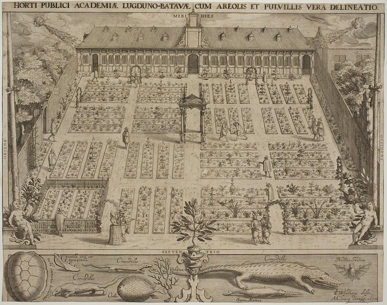 A botanikus kert Leydenben alkotó: Willem Isaaksz Swanenburgh