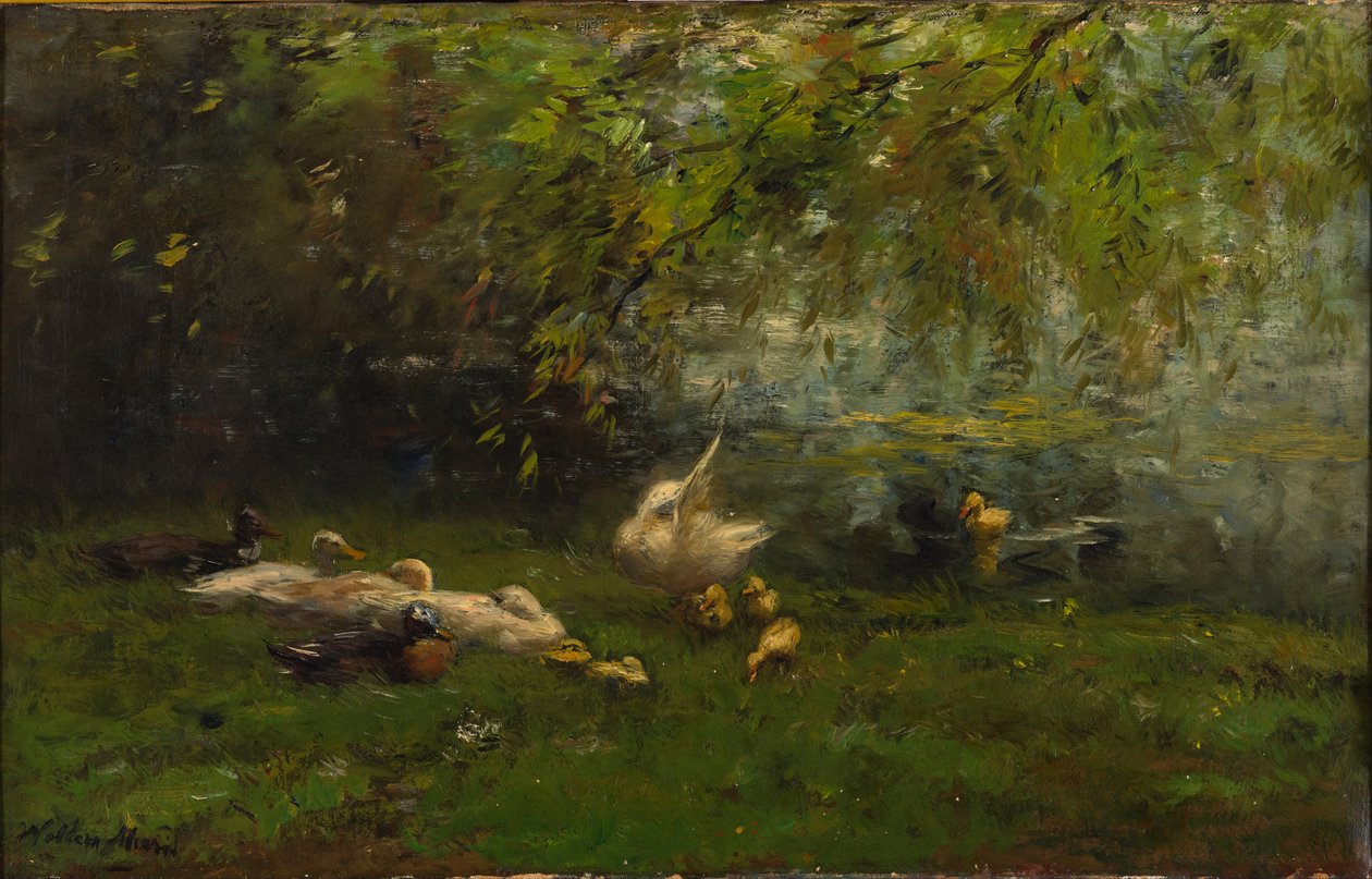 Kacsa mennyország alkotó: Willem Maris