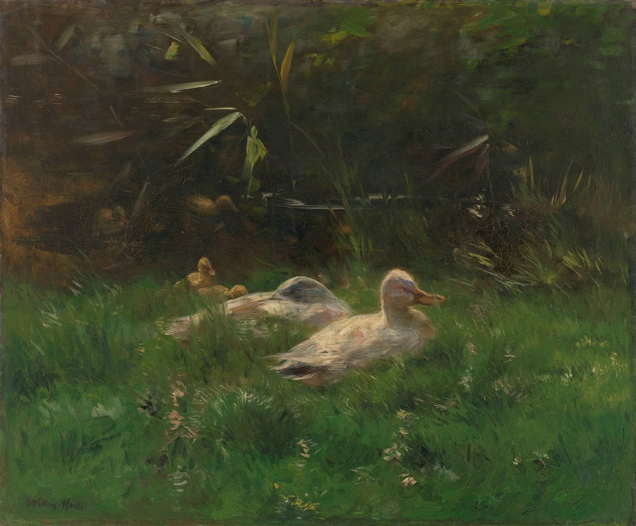kacsák alkotó: Willem Maris
