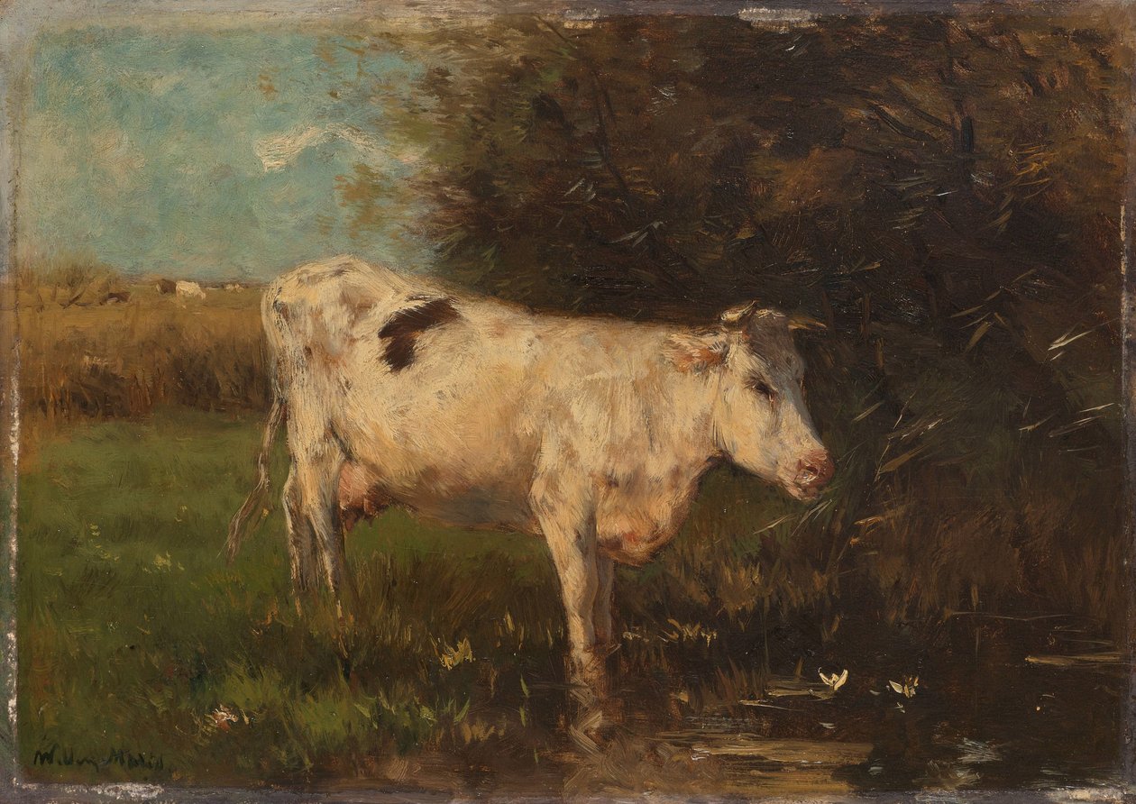 Fehér tehén alkotó: Willem Maris