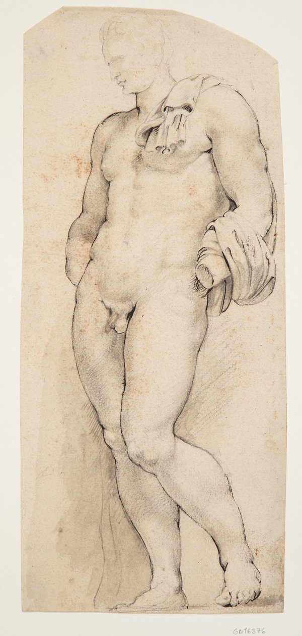 A „Belvedere Antinous” antik szobor eleje félig balra fordult alkotó: Willem Panneels