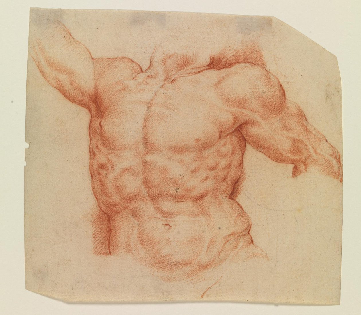 Laocoon törzsének elölnézete alkotó: Willem Panneels