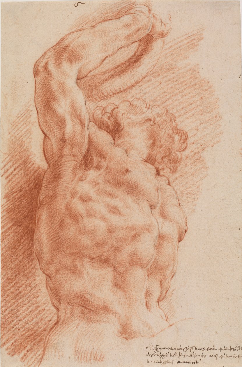 Laocoon. Laocoon törzse alulról látható jobbról. alkotó: Willem Panneels