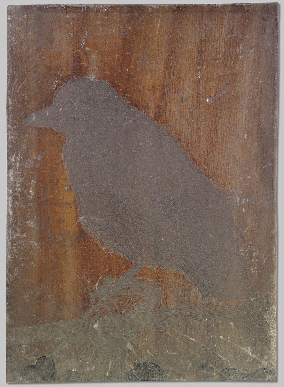 A varjú Ina alkotó: Willem Arnoldus Witsen