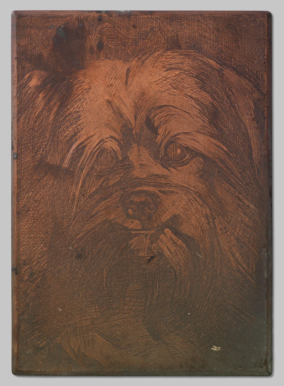 Phoebus kutya alkotó: Willem Arnoldus Witsen