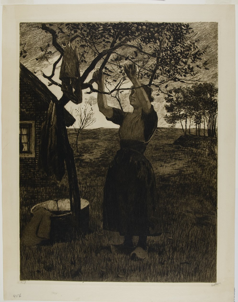 Az Almafa alkotó: Willem Arnoldus Witsen