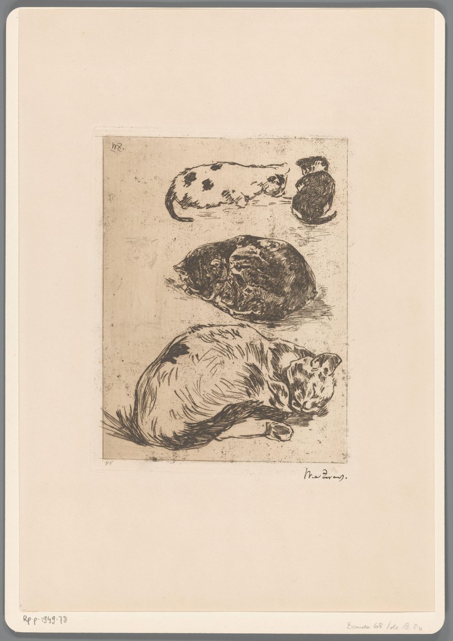 Macskák tanulmányozása (eredeti cím) alkotó: Willem de Zwart (signed by artist)