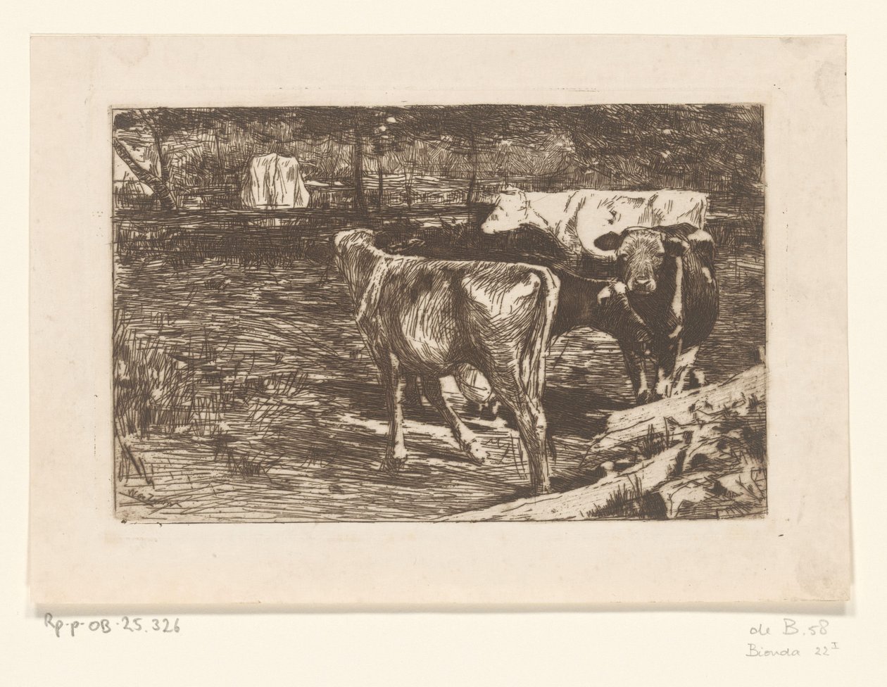 Négy tehén egy réten Milk bend (eredeti cím) alkotó: Willem de Zwart