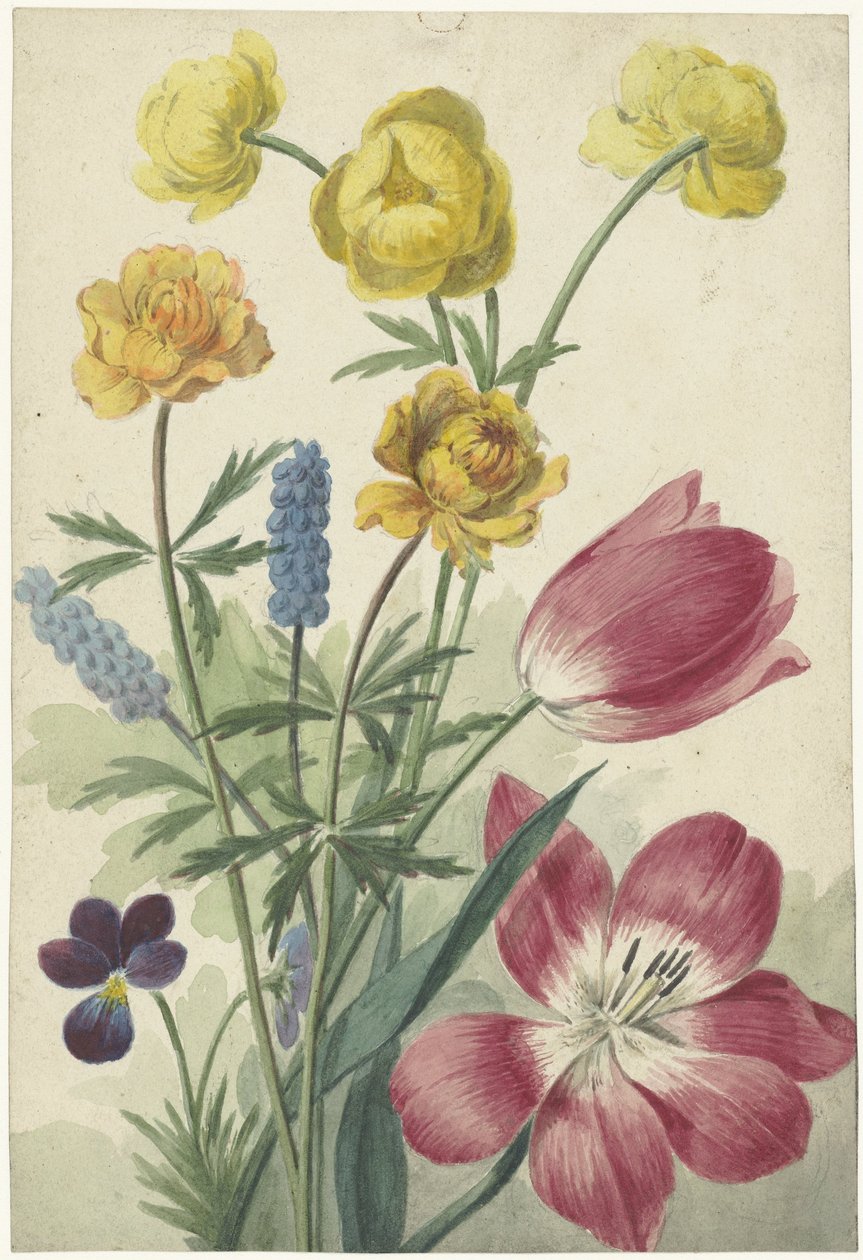 Tulipán, ibolya, szőlő jácint és pöttyös csokor alkotó: Willem van Leen