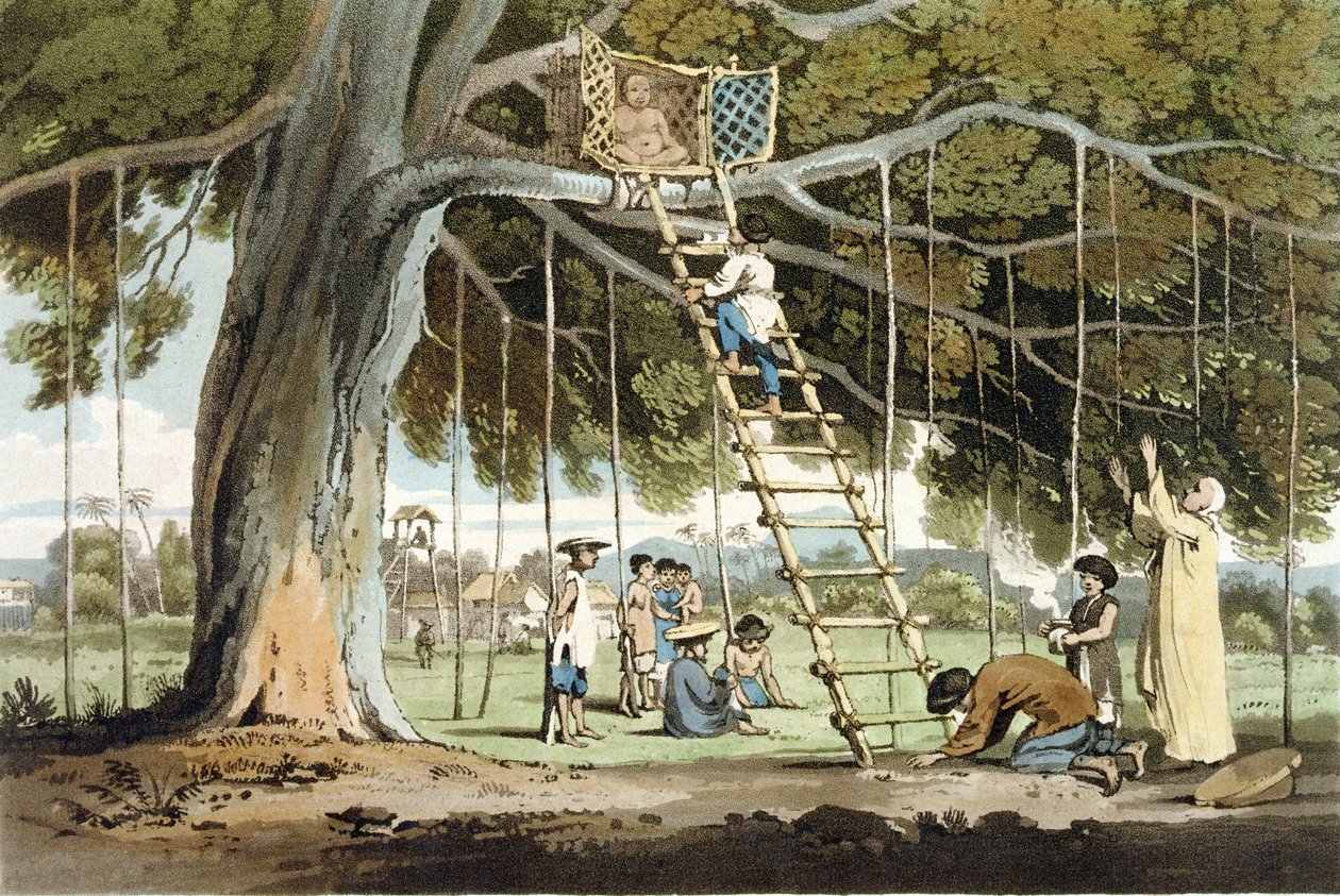 Első gyümölcsfelajánlás Fo istennek, John Barrow (1764-1848) „A Voyage to Cochinchina” 16. táblája, Thomas Medland (1755-1823) metszete, 1806 (akvatinta) alkotó: William Alexander