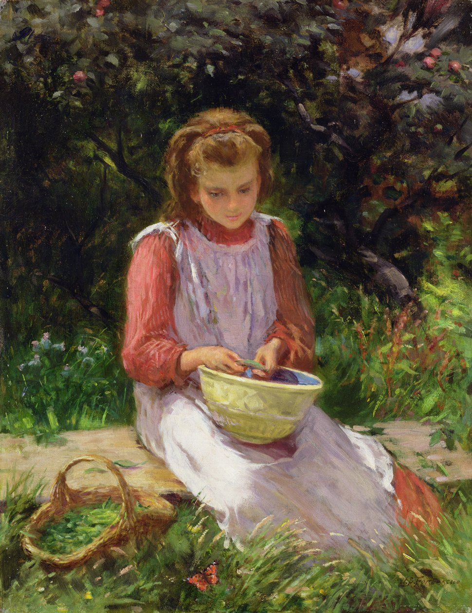 Borsó héja alkotó: William Banks Fortescue