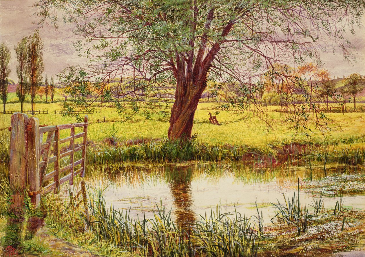 Vízi rét, 1865 alkotó: William Bell Scott