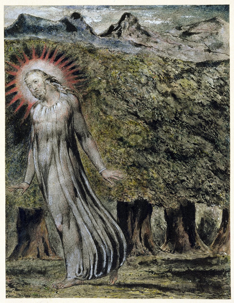 Próféta a vadonban (toll és tinta, gouache papíron) alkotó: William Blake