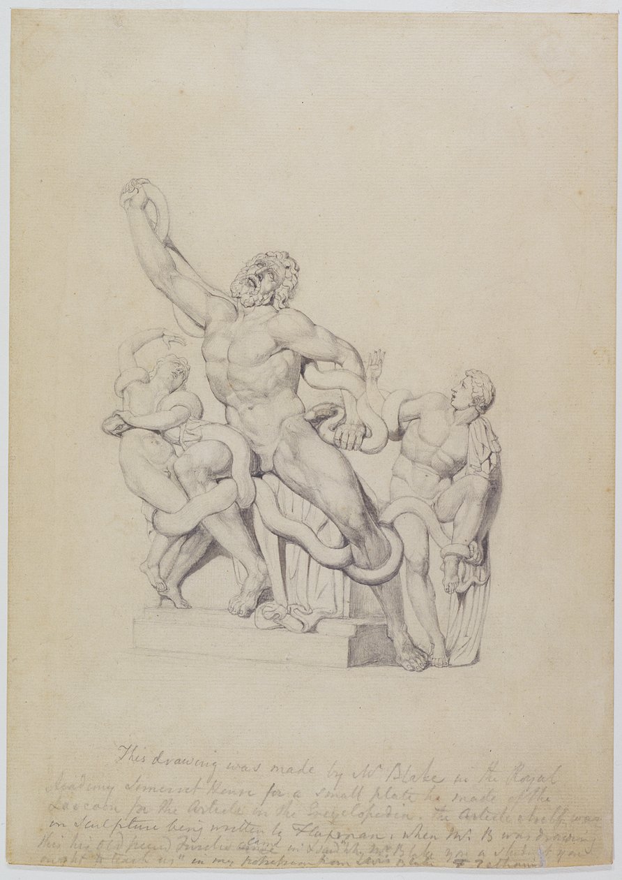 A Laocoon másolata, Rees