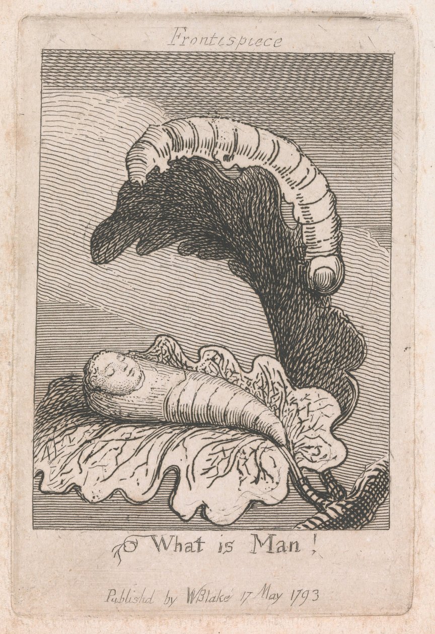 Gyerekeknek. A Paradicsom kapuja, 1. lemez, előlap, alkotó: William Blake