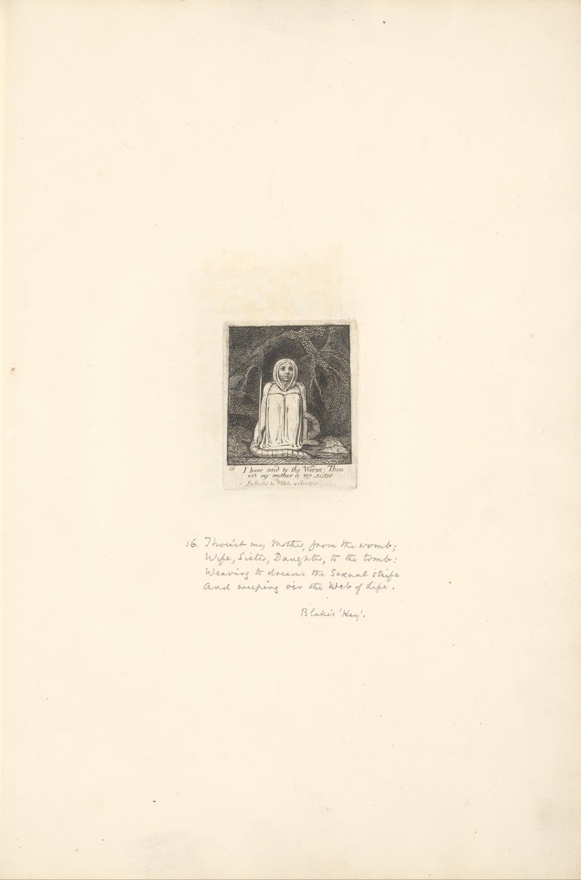 A nemekért- A Paradicsom kapuja, 18. lemez, mondtam a Féregnek. . . . alkotó: William Blake
