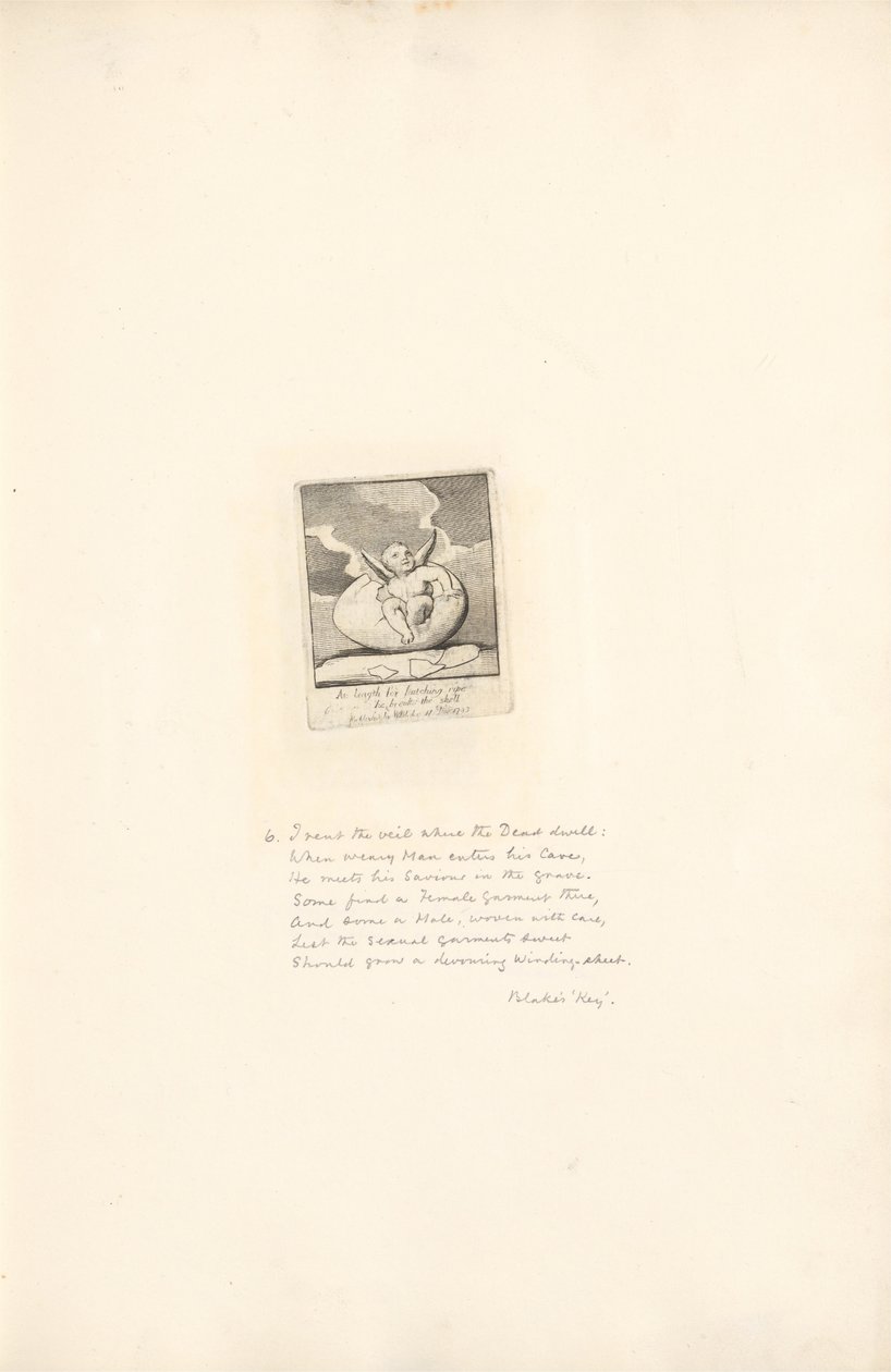 A nemek számára- A Paradicsom kapuja, 8. lemez, Hosszú ideig a kikeléshez éretten feltöri a héját alkotó: William Blake