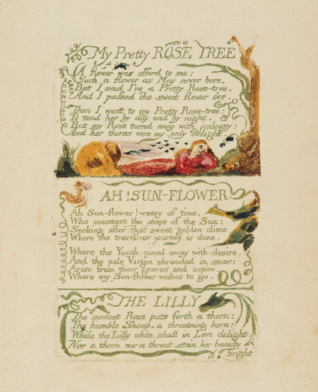 „Csinos rózsafám” és „Ah! Napraforgó” és „A liliom” a „Songs of Experience”-ből, 1794 (domborműves rézkarc kézi színezéssel és akvarellel) alkotó: William Blake