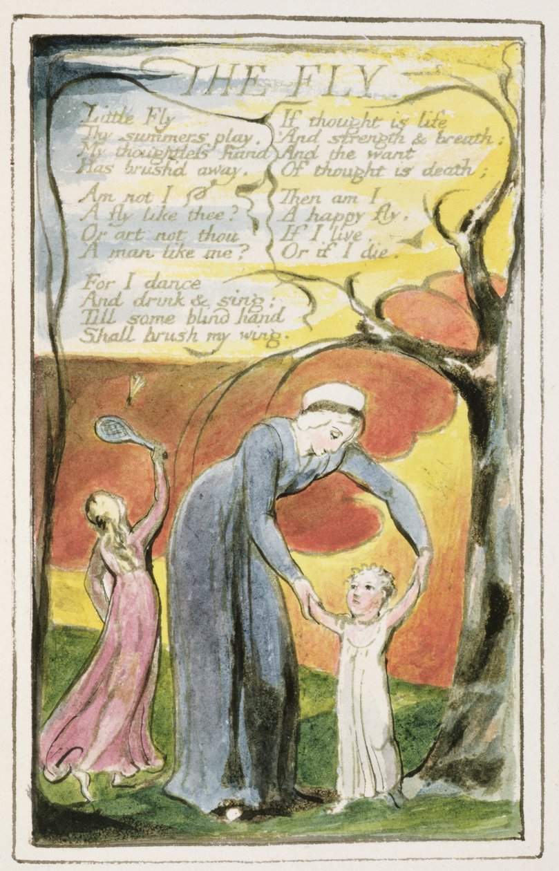 P.124-1950.pt41 The Fly: 41. lemez a Songs of Inocence and of Experience-ből (R példány) 1802-2008 körül (rézkarc, tinta és wc) alkotó: William Blake