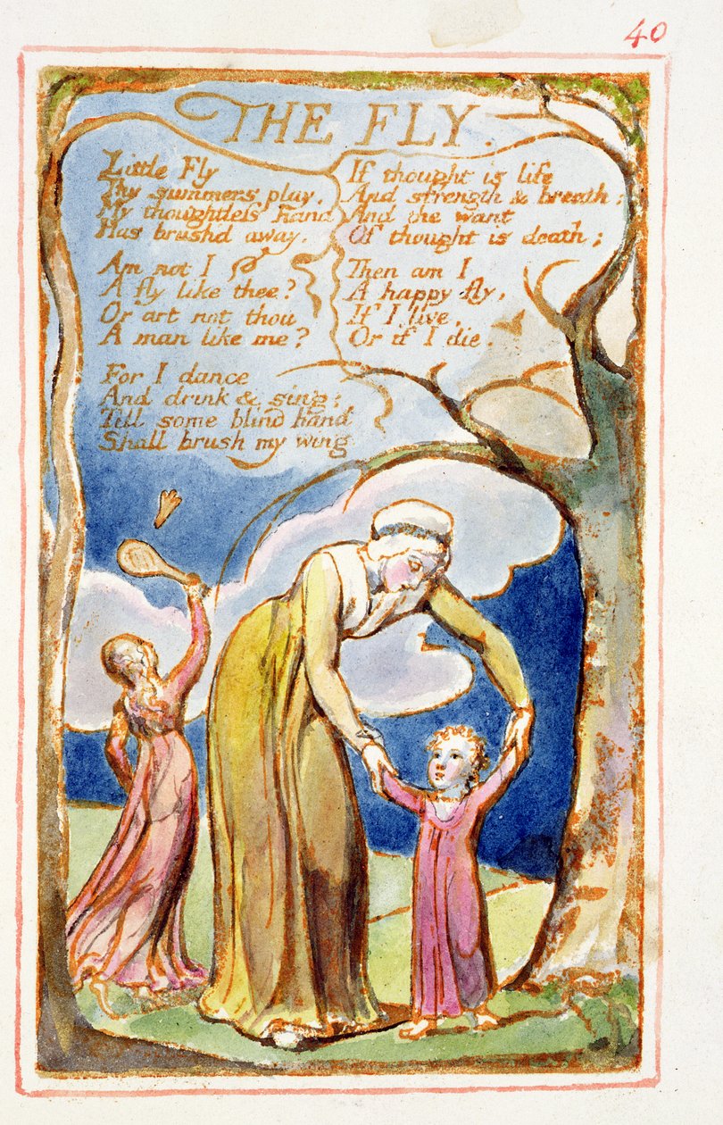 P.125-1950.pt40 A légy: 40. tábla az Ártatlanság és tapasztalat dalaiból (AA másolat) 1815-26 körül (metszet, tus, wc) alkotó: William Blake