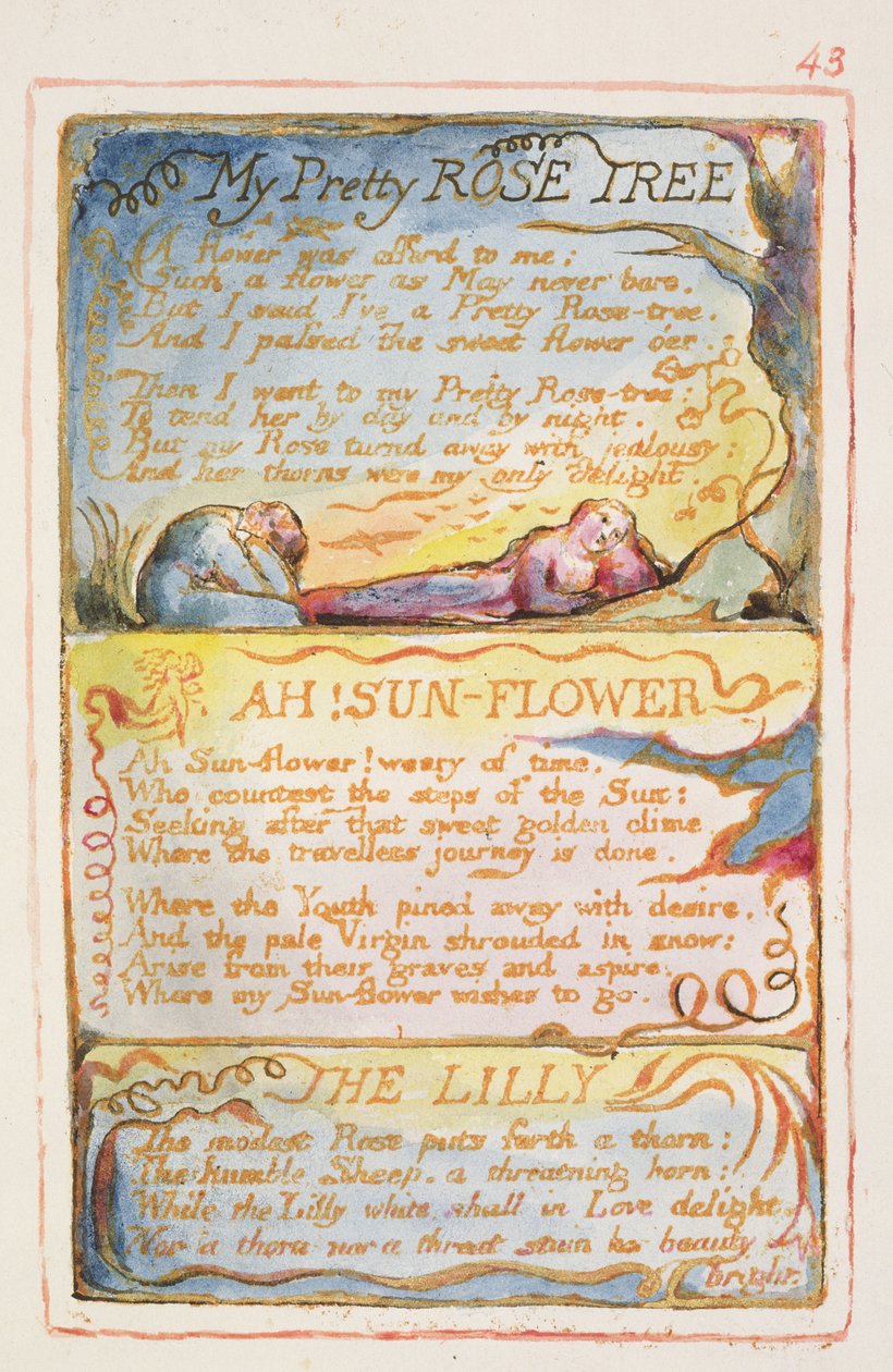 P.125-1950.pt43 Az én szép rózsafám; Ah! Napraforgó; The Lilly: 43. lemez a Songs of Inocence and of Experience-ből (AA másolat) 1815-26 (rézkarc, tinta és wc) alkotó: William Blake