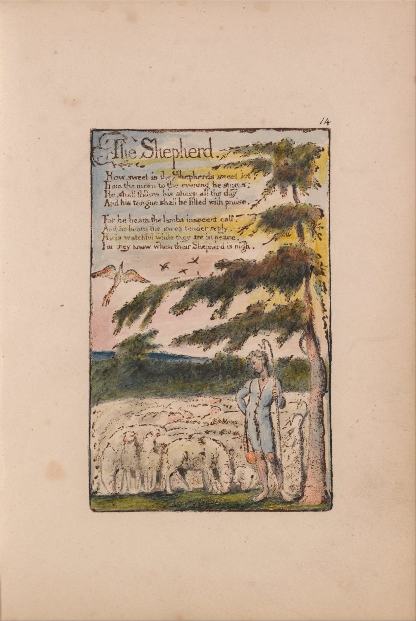 Az ártatlanság és a tapasztalat dalai alkotó: William Blake