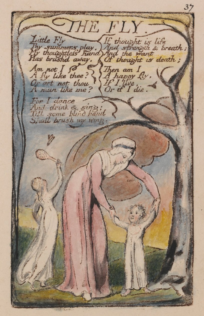 Az ártatlanság és a tapasztalat dalai, 37. lemez, A légy (Bentley 40) alkotó: William Blake