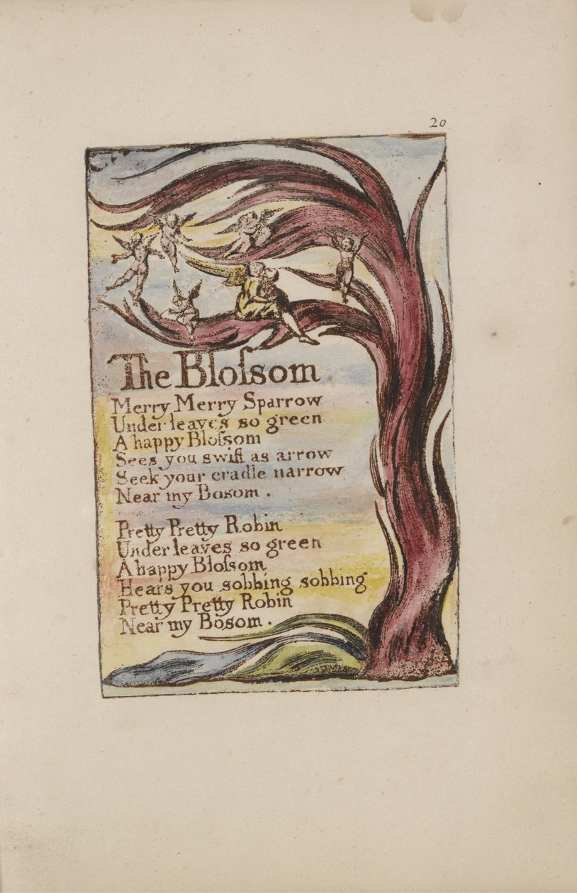 The Blossom, 20. lemez a Songs of Inocence and of Experience-ből [Bentley 11], 1789-94 körül (domborműves marattás barna színben, tollal, tintával és wc-vel) alkotó: William Blake