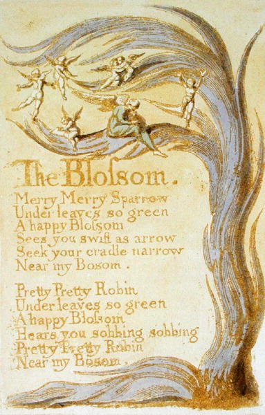 The Blossom, 9. tábla az ártatlanság énekeiből, 1789 (domborműves metszet wc-vel papíron) alkotó: William Blake