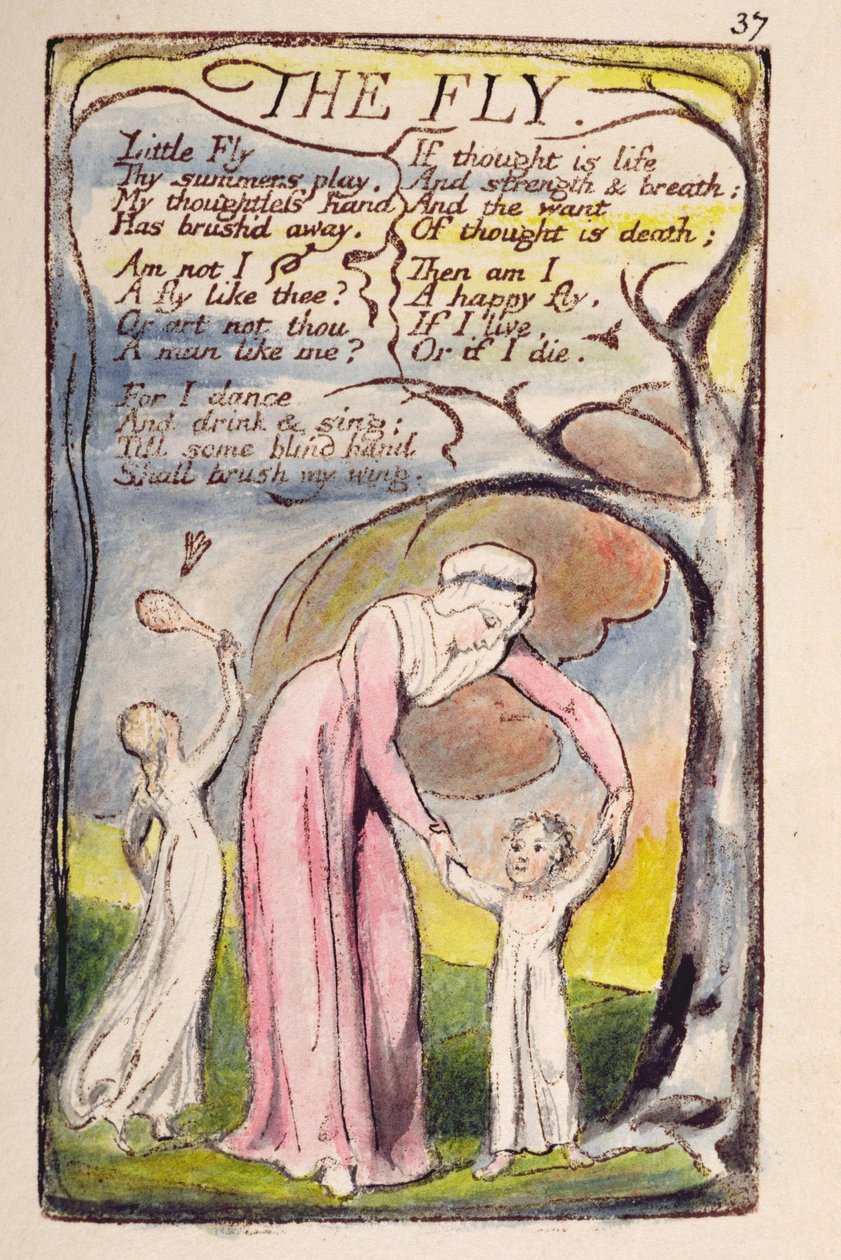 "A légy", 37. tábla az "Ártatlanság és tapasztalat dalai"-ból [Bentley 40] 1789-94 körül (dombormetszet, sötétbarnával, tollal és tintával és wc-vel nyomtatva). alkotó: William Blake