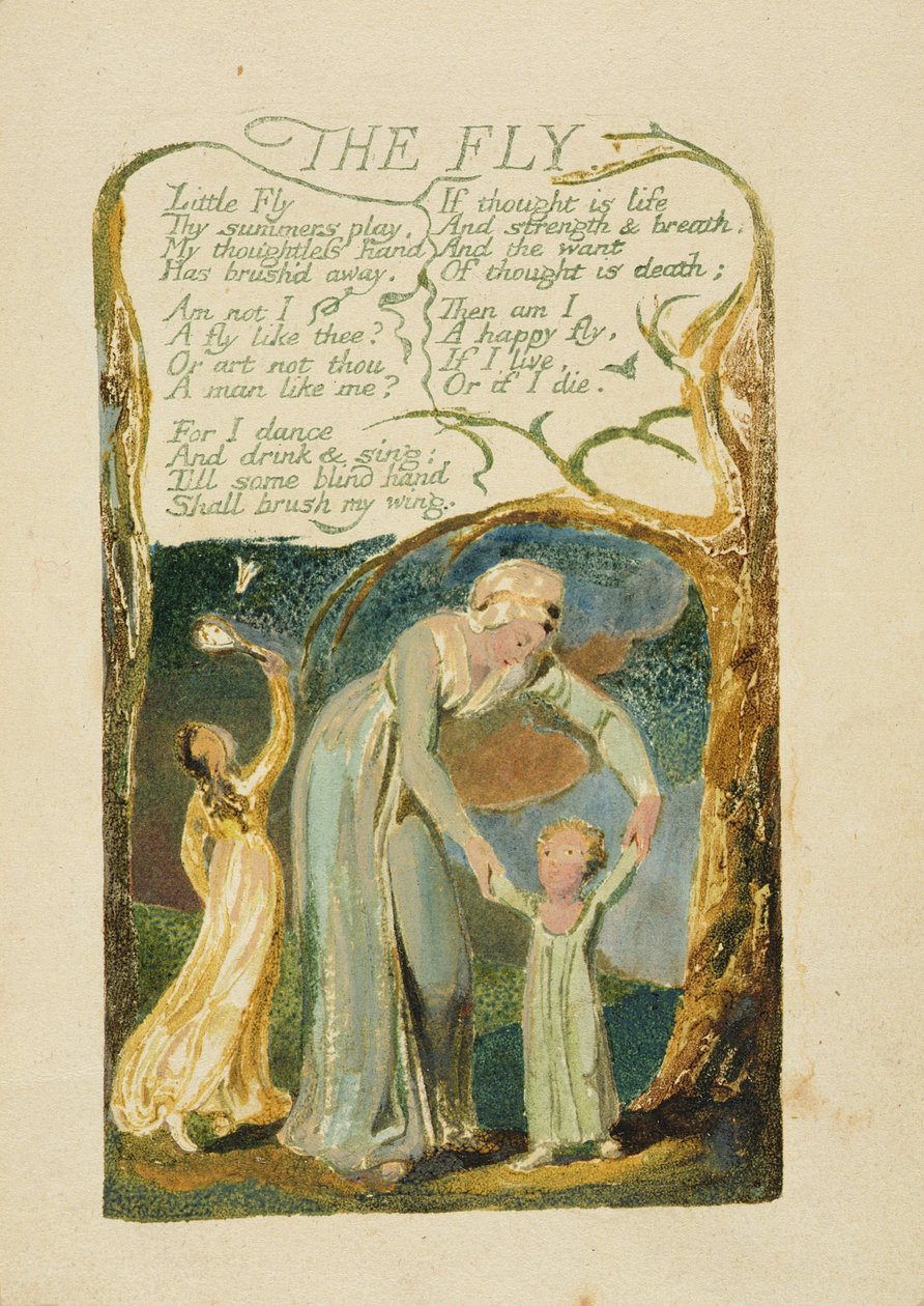 „The Fly”, „Songs of Experience” 47. lemeze, 1794 (színes nyomtatott dombormű akvarellel) alkotó: William Blake