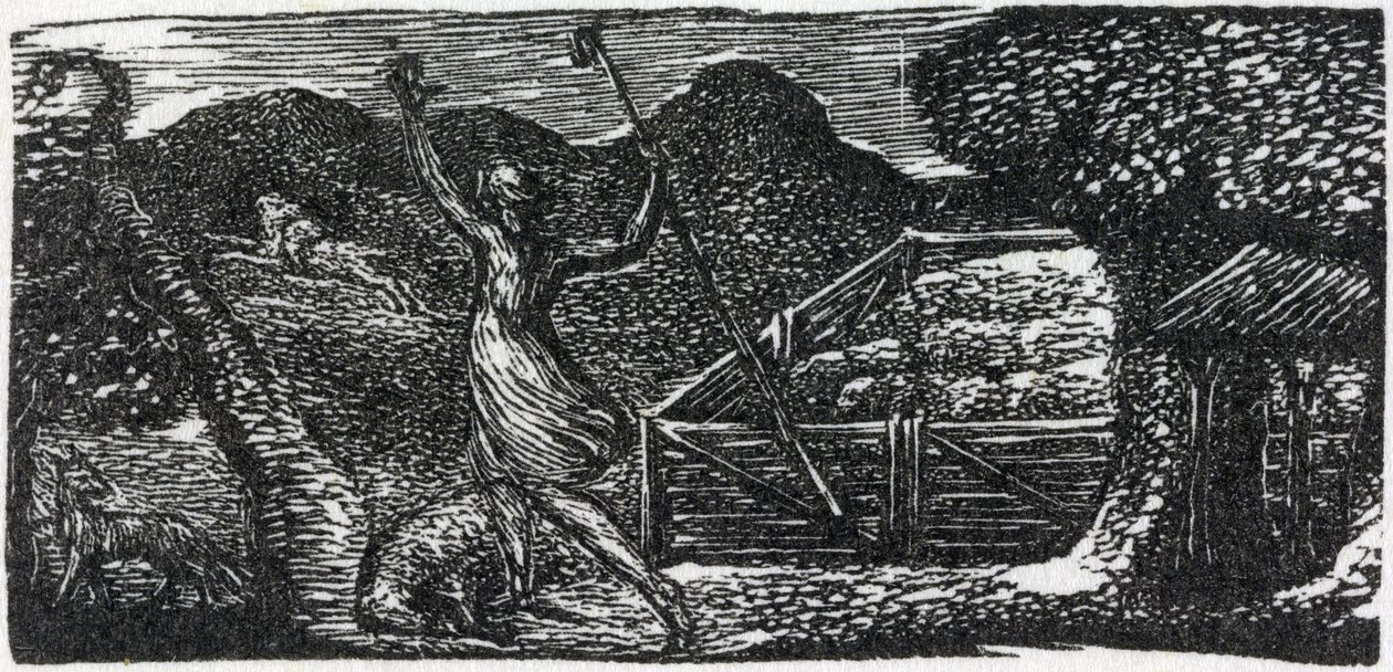A jó pásztor elűzi a farkast, illusztráció Dr. Thornton „Vergilius pásztorai” című művéből alkotó: William Blake