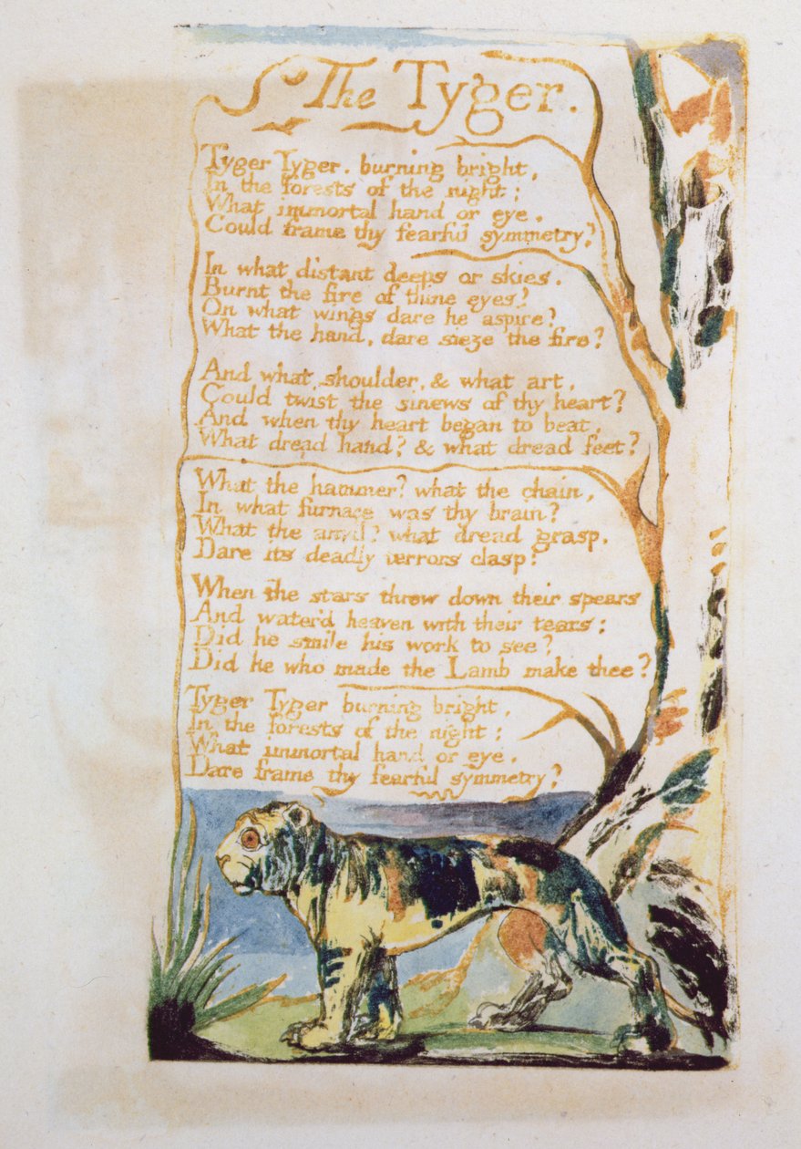 A Tyger, az ártatlanság dalaiból alkotó: William Blake