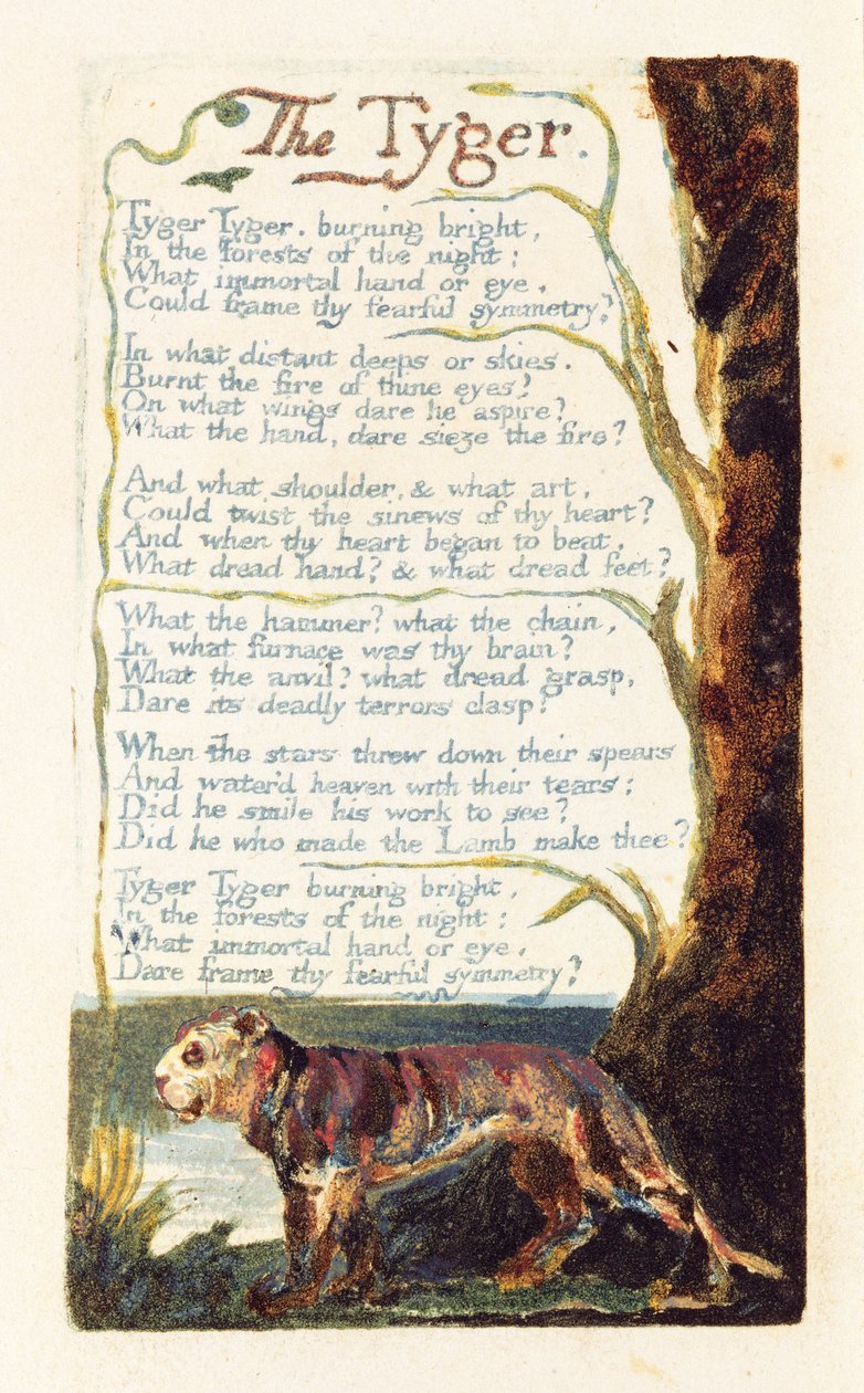 „The Tyger”, 41. lemez a „Songs of Experience”-ből, 1794 (domborműves rézkarc wc-vel) alkotó: William Blake