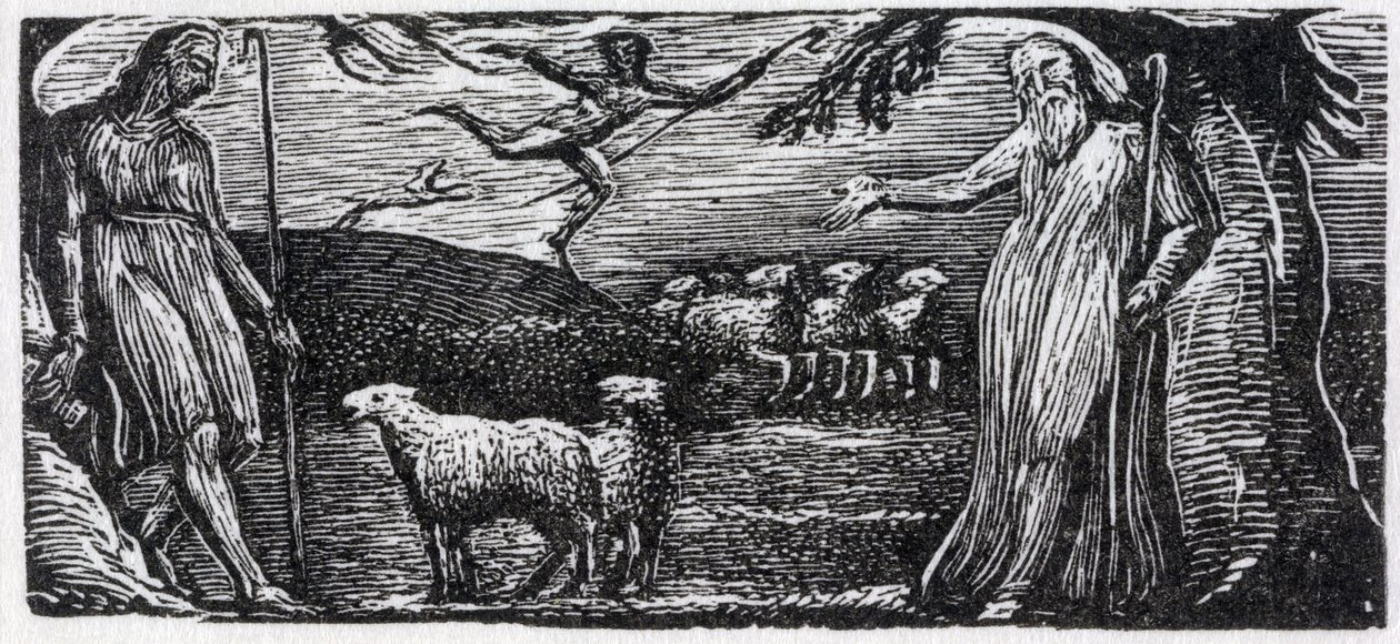 Thenot tiltakozik Colinet-vel, Lightfoot in the Distance, illusztráció Dr. Thornton „The Pastorals of Vergil” című művéből. alkotó: William Blake