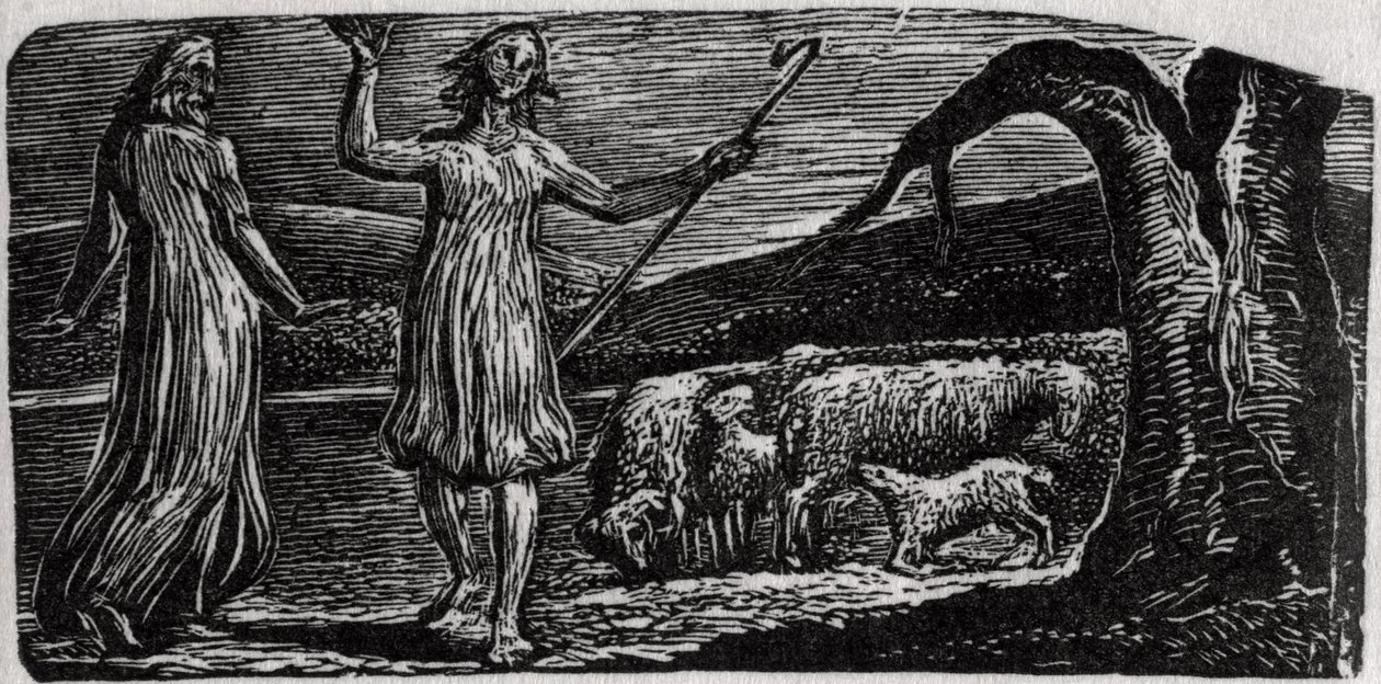 Thenot, Colinet szomorúan hadonászva, illusztráció Dr. Thornton „Vergilius pásztorai” című művéből alkotó: William Blake