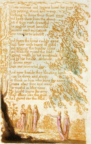 When Wolves and Tygers Howl..., 17. tábla Az ártatlanság dalaiból, 1789 (dombormetszet, wc-vel, papírra) alkotó: William Blake