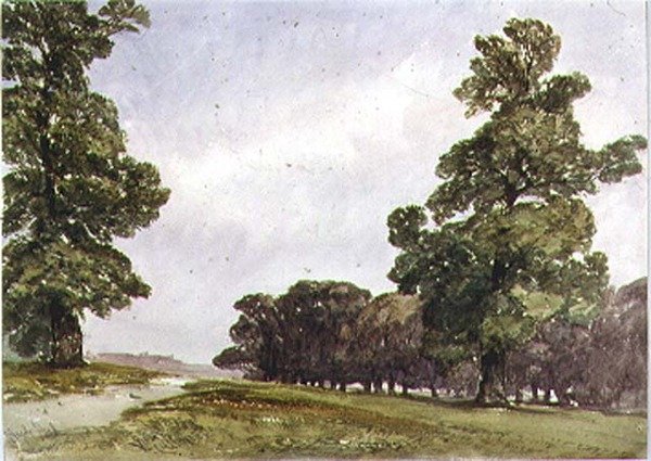 Nézet a Hyde Parkban alkotó: William Callow