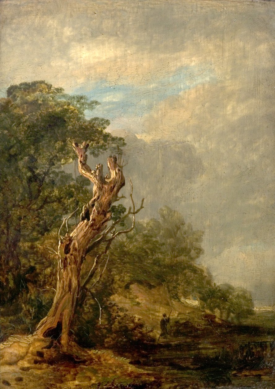 Az elszáradt fa alkotó: William Collins