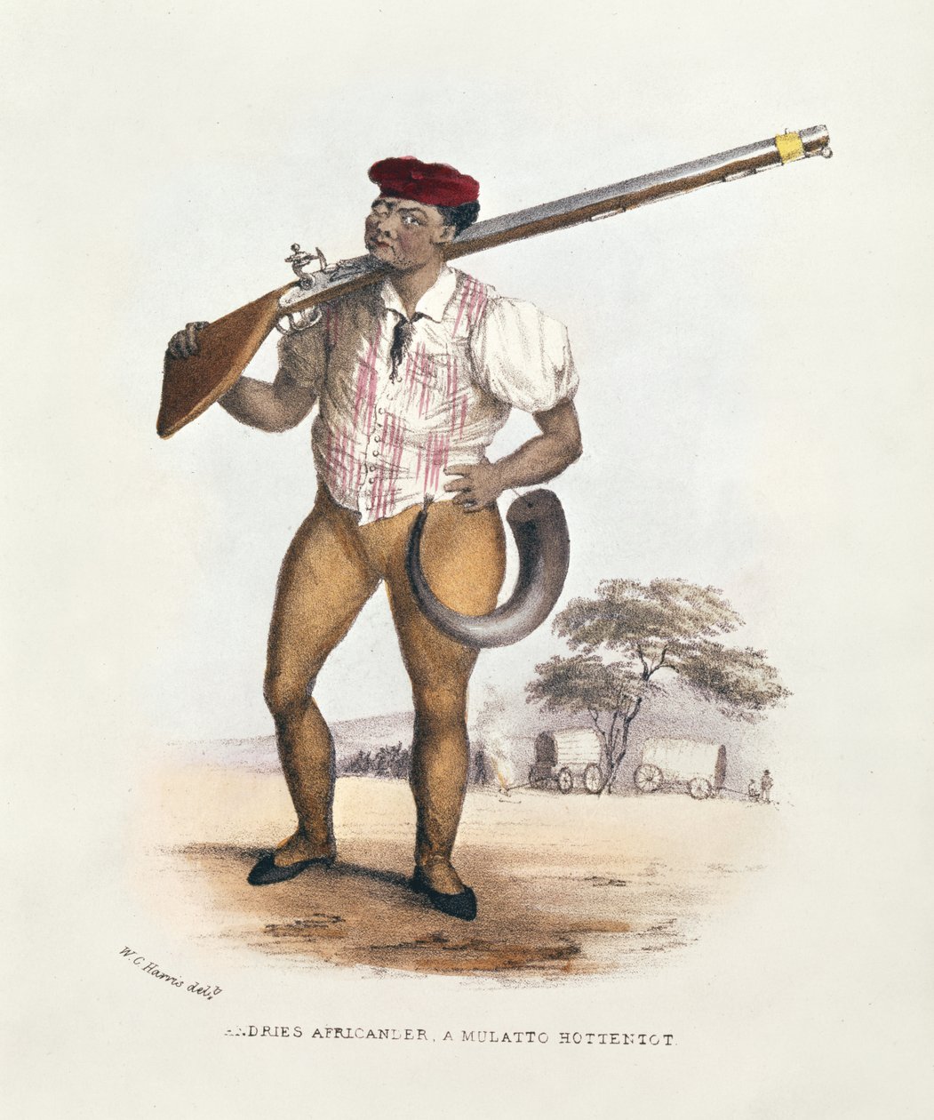 Andries Africander, egy mulatt hottentotta, illusztráció a Wild Sports of South Africa-ból, W.C. Harris, 1841 alkotó: William Cornwallis Harris