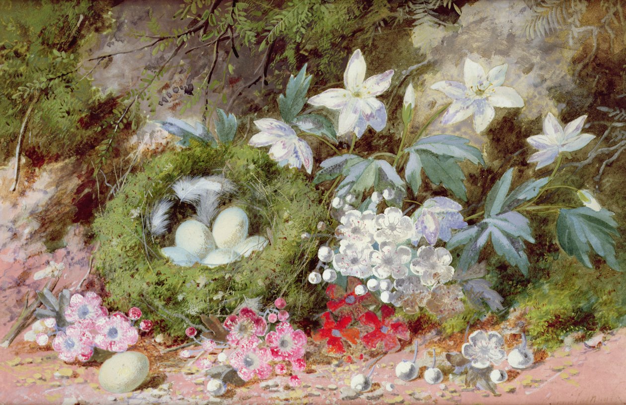 Csendélet madárfészekkel alkotó: William Cruikshank
