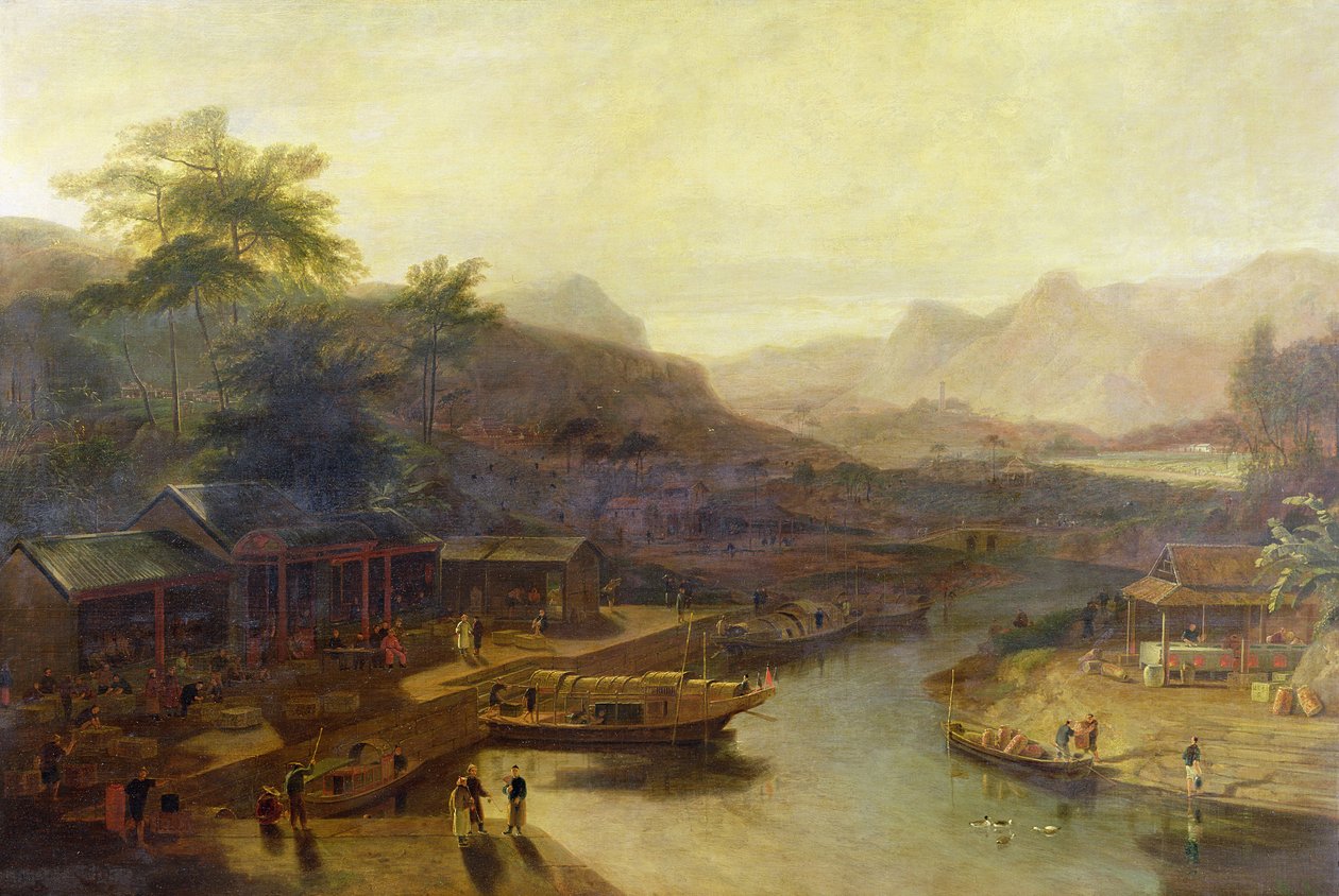Nézet Kínában: A teanövény termesztése, 1810 körül alkotó: William Daniell