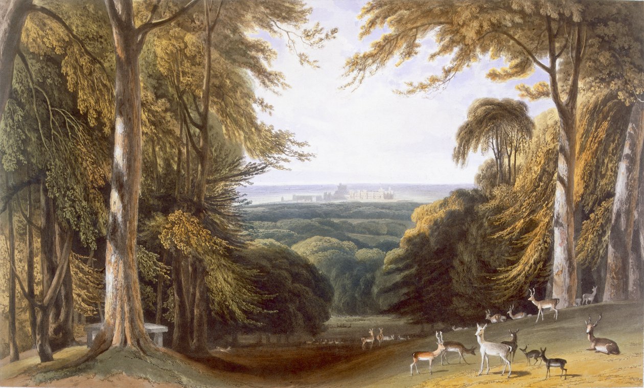 Glen a Windsor Parkban a Bishops Gate közelében, a „Windsor, Eton és Virginia Water Views” című filmből, 1827-30 alkotó: William Daniell