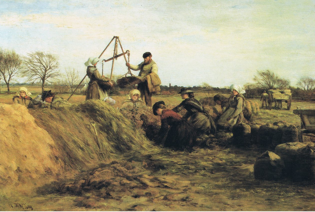Szántóföldi munka tavasszal - a burgonyagödörnél alkotó: William Darling Mackay