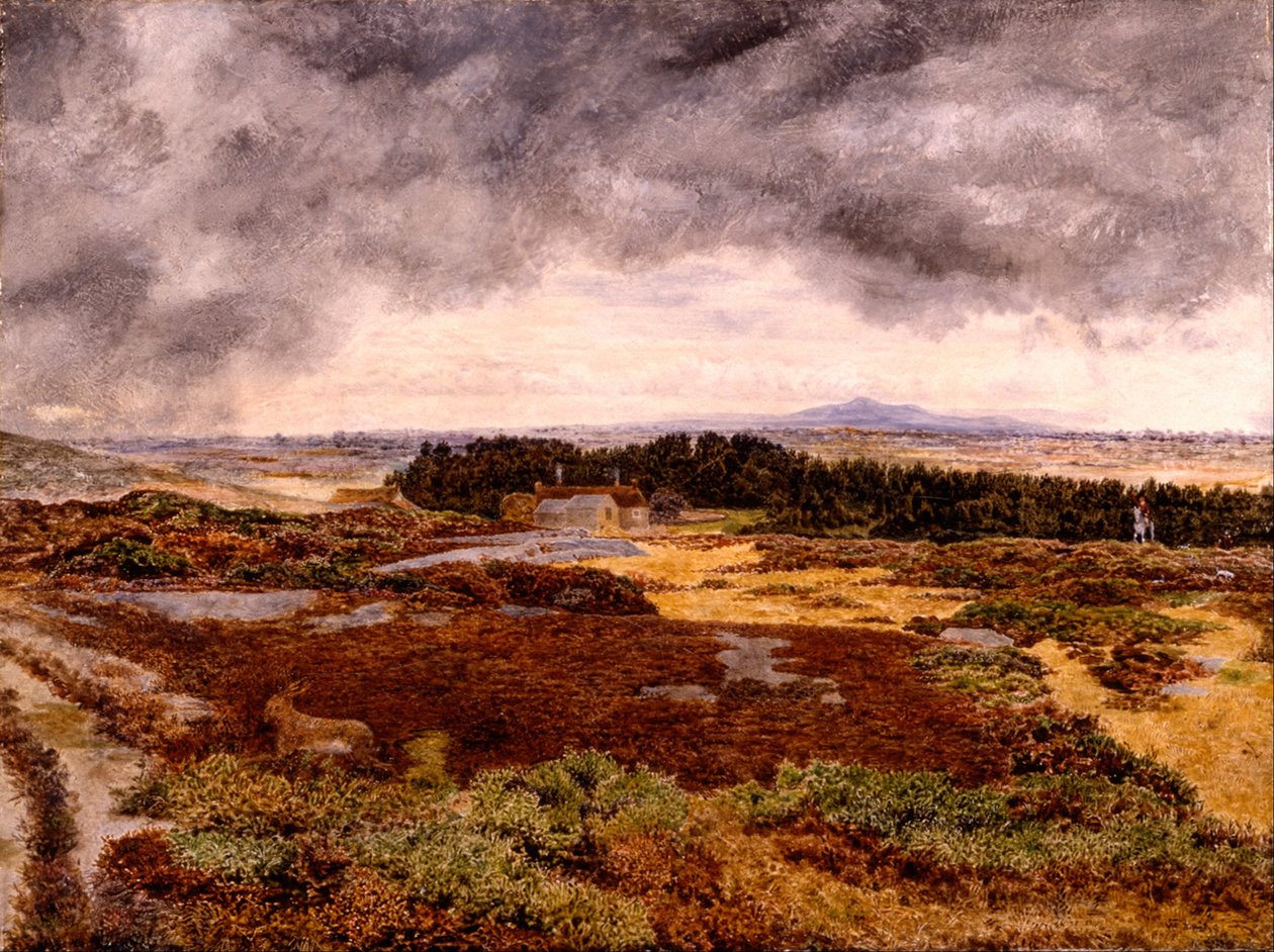 Kilátás a Bidston -hegyről alkotó: William Davis