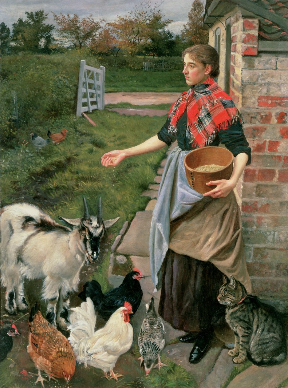 A csirkék etetése alkotó: William Edward Millner