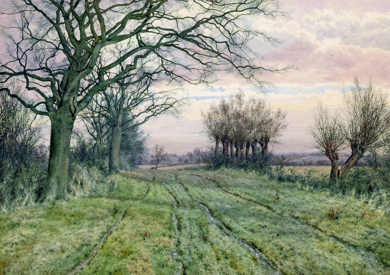 Egy Fenland Lane fűzfákkal, 1887 alkotó: William Fraser Garden