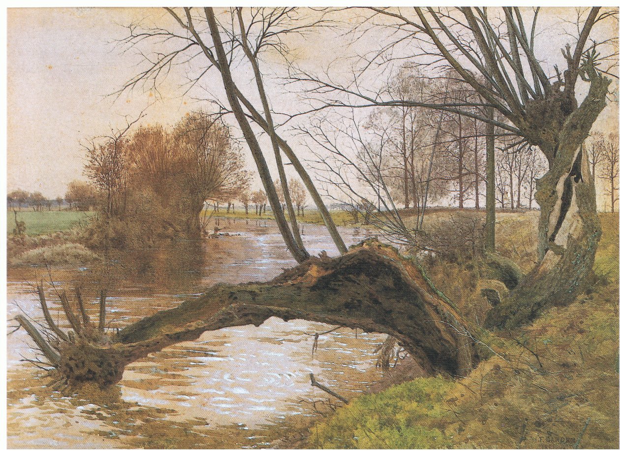 Fűzfa az Ouse-ban alkotó: William Fraser Garden