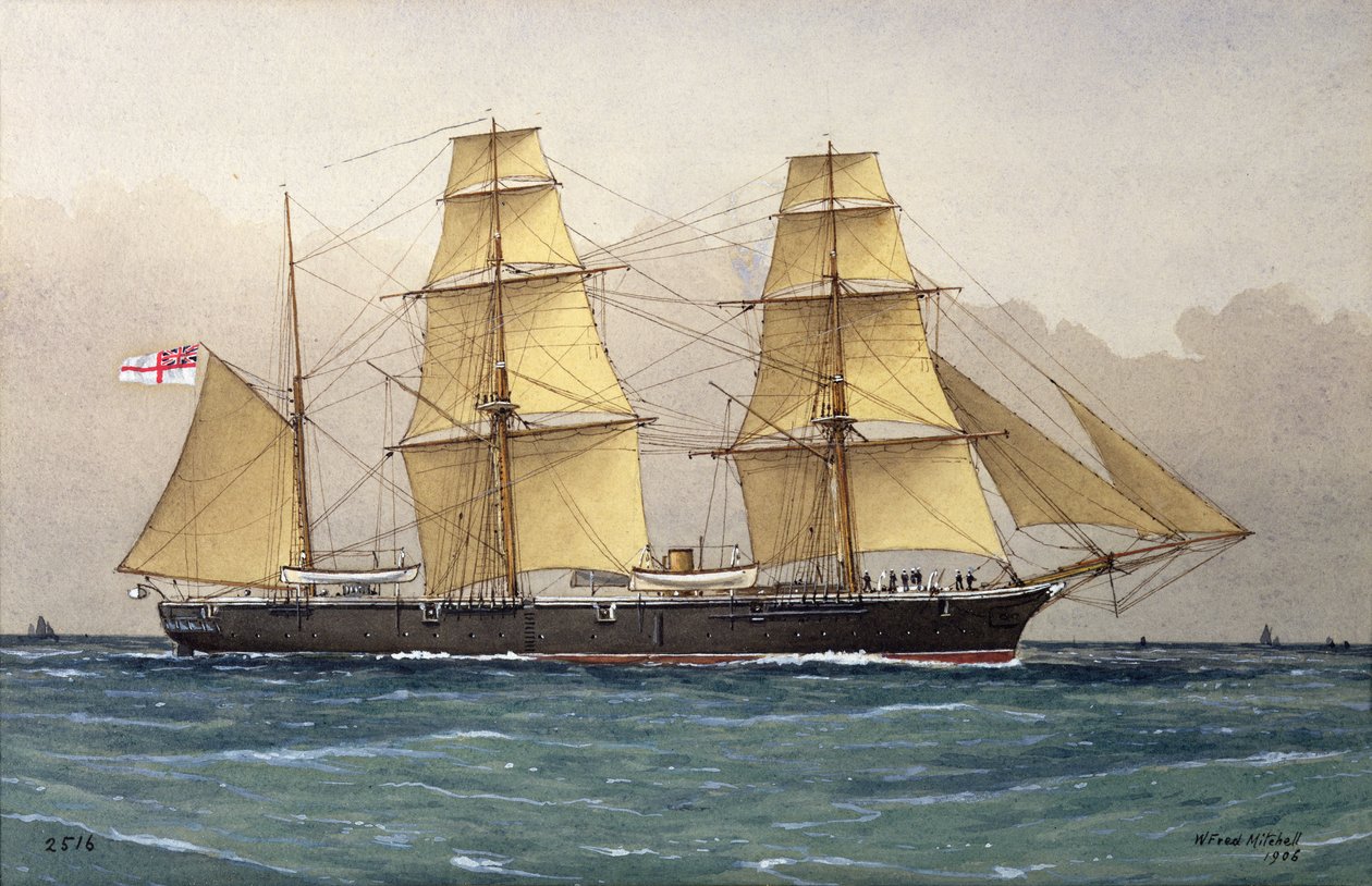 A vad hattyú, 1906 alkotó: William Frederick Mitchell