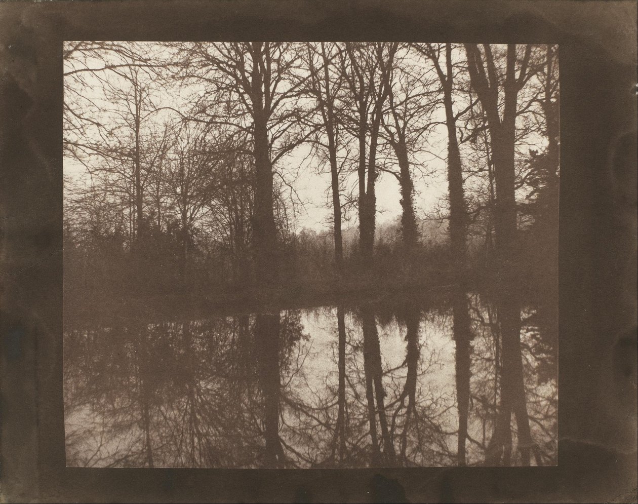 Fák és elmélkedések alkotó: William Henry Fox Talbot